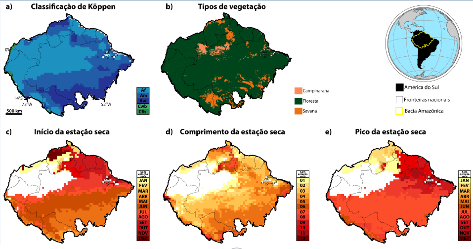 Clima e Vegetação Do Brasil, PDF, Floresta Amazônica